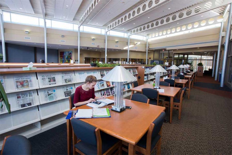 A person studies at a table in the library.